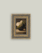 PL Magnolia