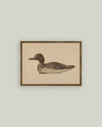 PL Wooden Duck Decoy