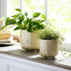Ceramic Flower Pot