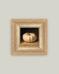 PL White Pumpkin
