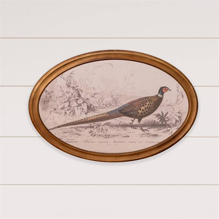 Pheasant Print