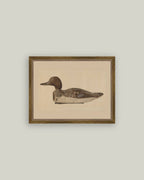 PL Wooden Duck Decoy