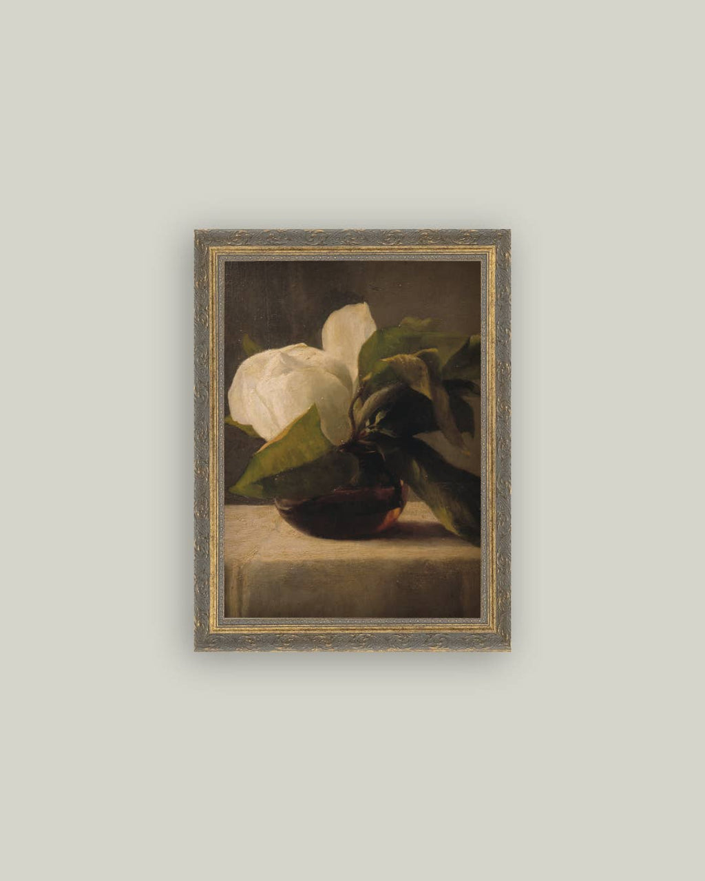 PL Magnolia