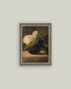 PL Magnolia