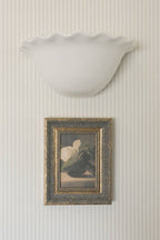 PL Magnolia