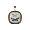 Square Antique Mirror Butterfly Print