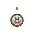 Round Antique Mirror Butterfly Print