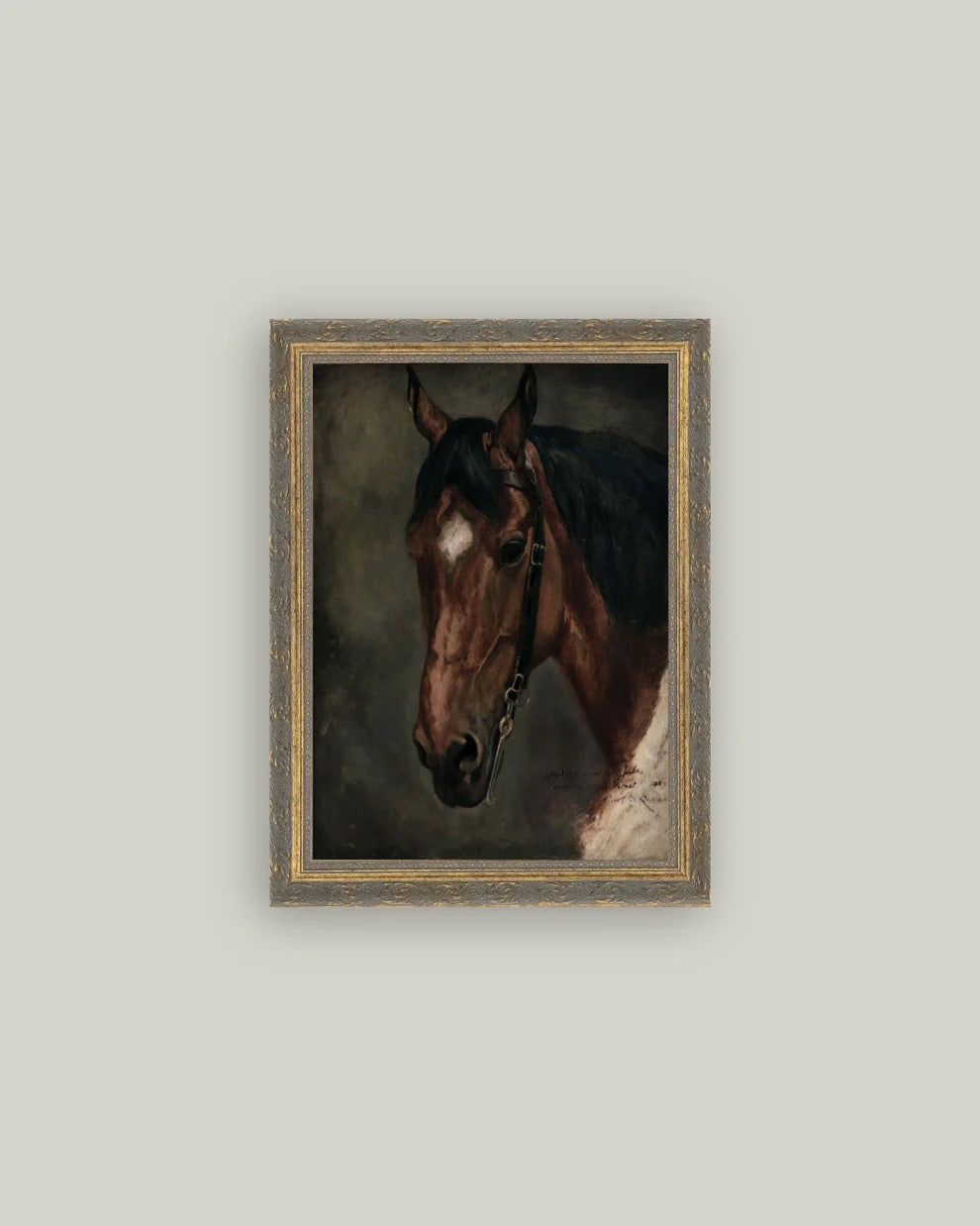 PL Horse Portrait