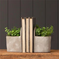 Cement Planters