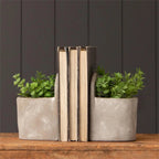 Cement Planters
