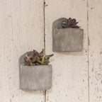 Cement Planters