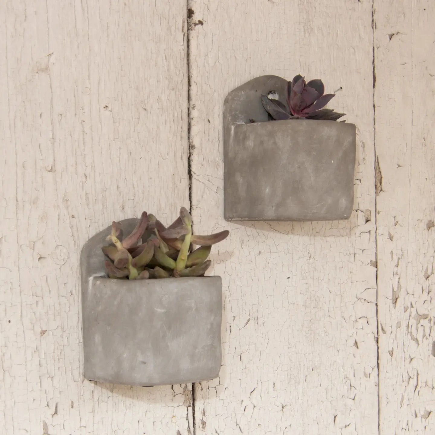 Cement Planters