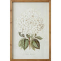 Framed Hydrangea Print