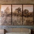 Lowland Meadow Triptych
