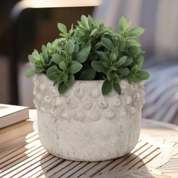 Ivory Terracotta Half Bubble Weathered Planter*