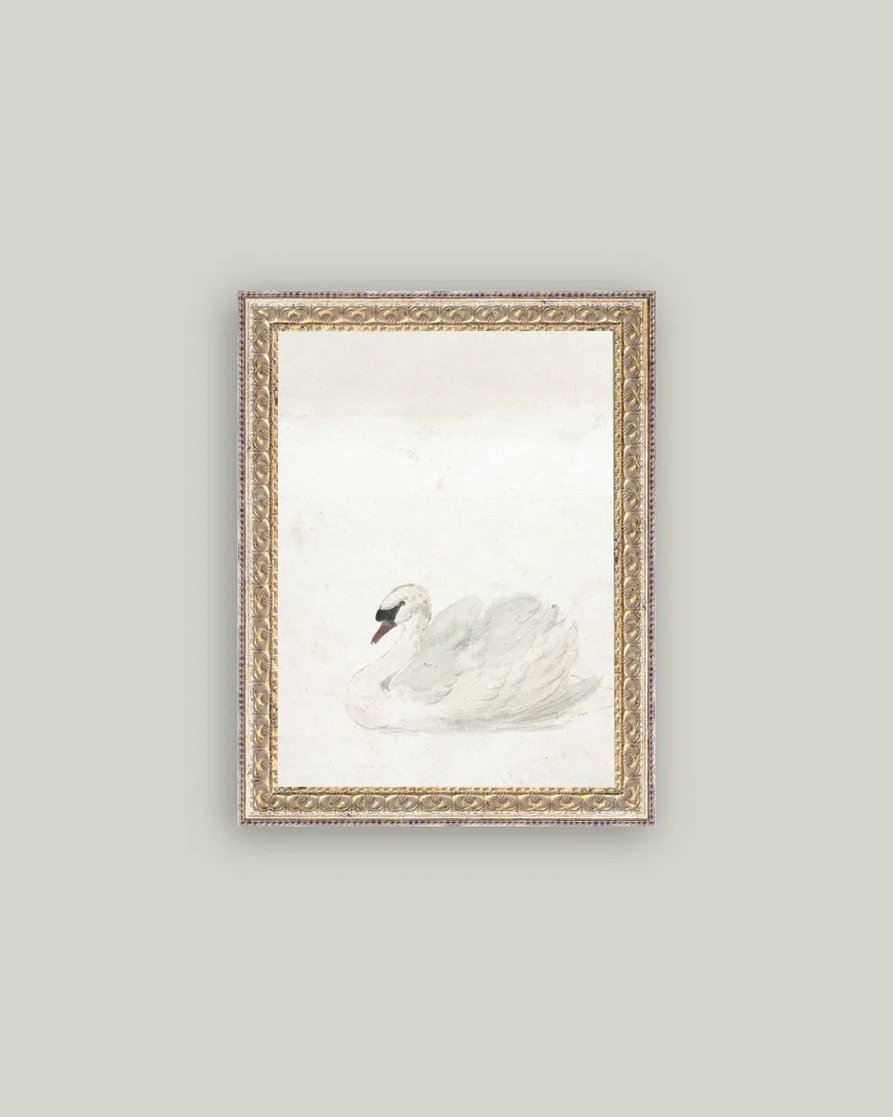 PL Swan