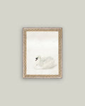 PL Swan