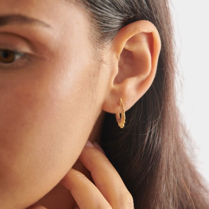 Katie Loxton KLJ6373 You Shine Hoop Earrings*