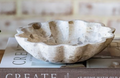 8" Capri Beige Marble Ruffle Bowl