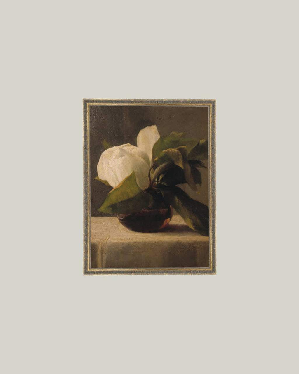 PL Magnolia
