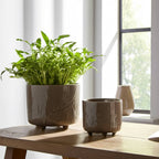 Ceramic Flower Pot