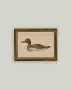 PL Wooden Duck Decoy