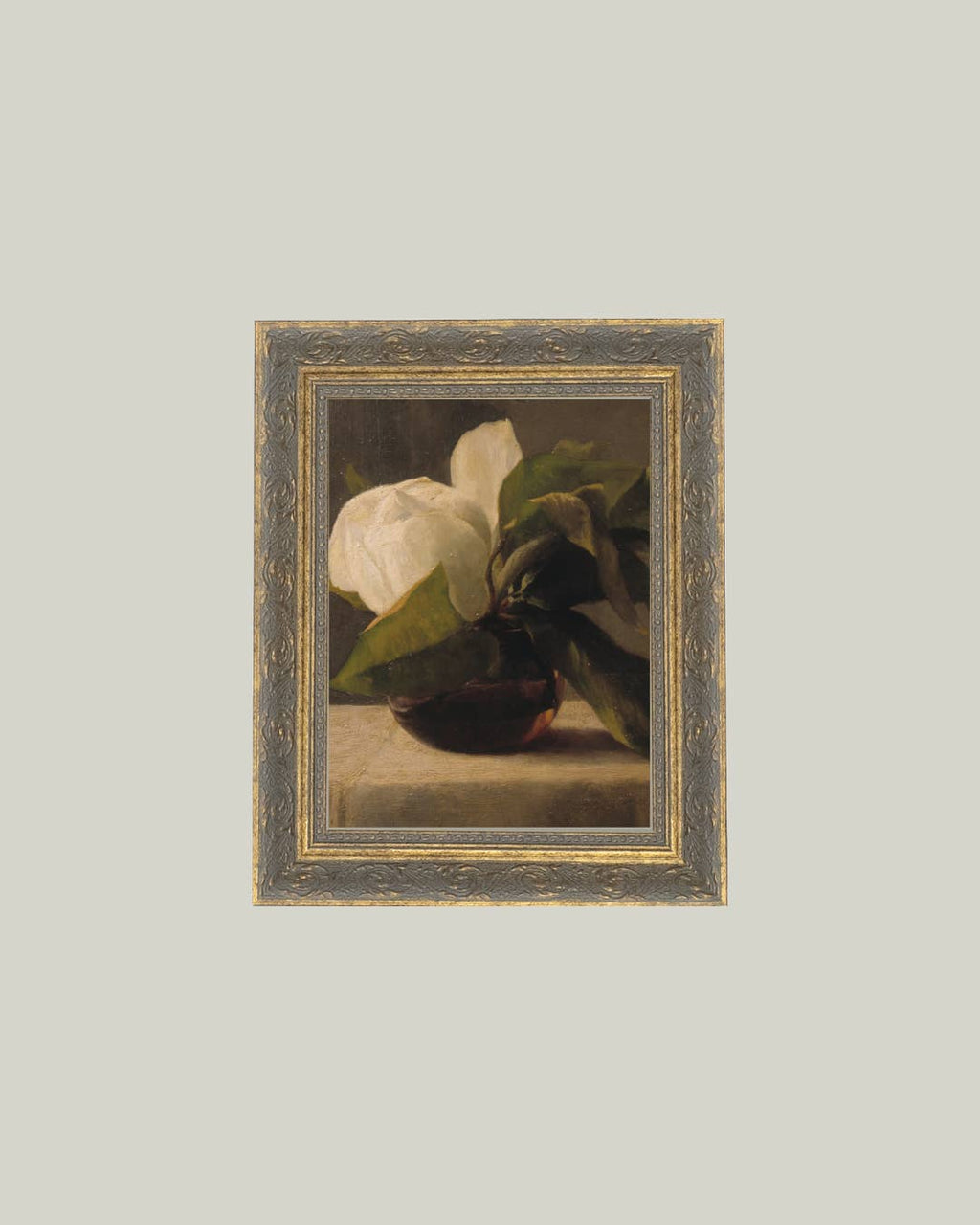 PL Magnolia