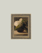 PL Magnolia