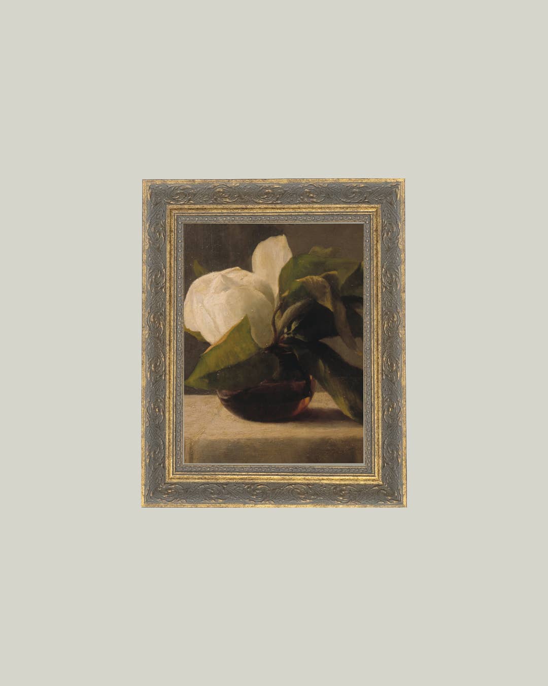 PL Magnolia