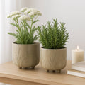 Ceramic Flower Pot