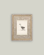 PL Single Goose
