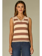 Regan Stripe Sweater V-Neck