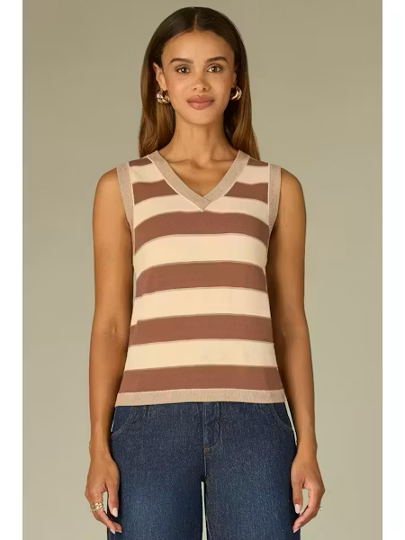 Regan Stripe Sweater V-Neck
