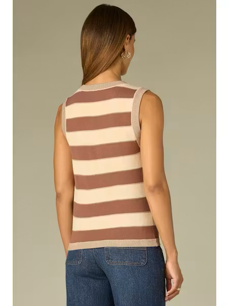 Regan Stripe Sweater V-Neck