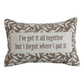 Velvet Embroidered Lumbar Pillow